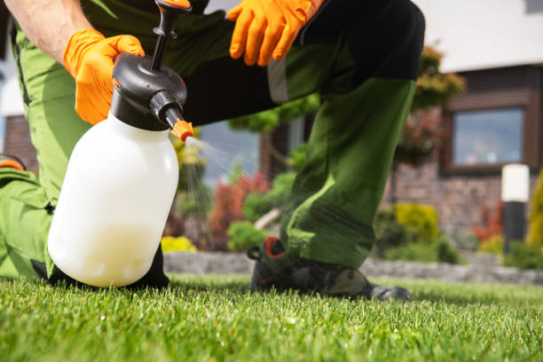 Best Lawn Pest Control  in Medina, TX